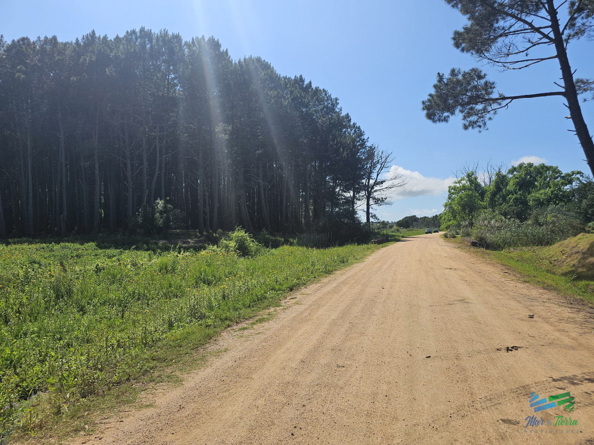 Terreno ID.4365 - Venta de terreno de 4.000 m2 en las Silvias Punta del Este, Laguna del diario