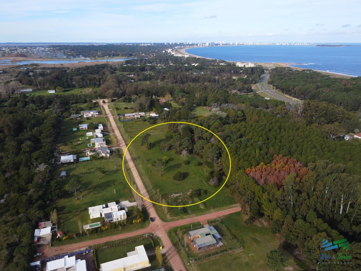 Venta de terreno de 2000 m2 zona Punta Ballena, Punta del Este