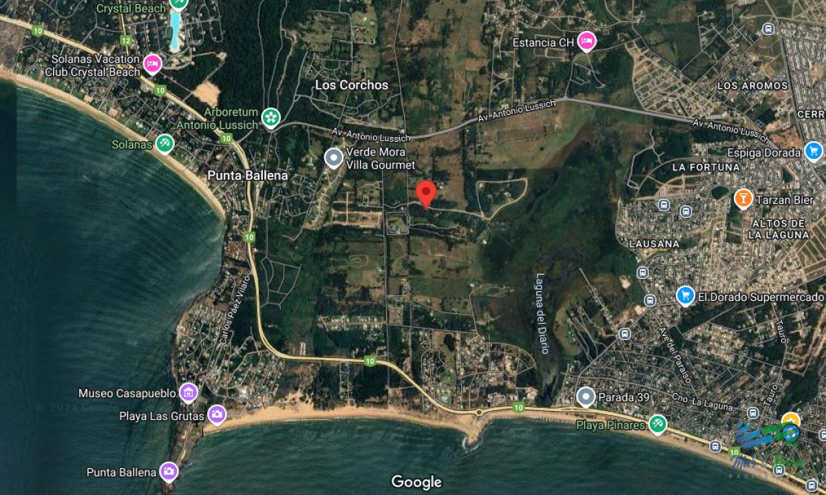 Terreno ID.4949 - Vendo terreno de 1 hectárea tipo chacra en Laguna del Diario, Punta del Este