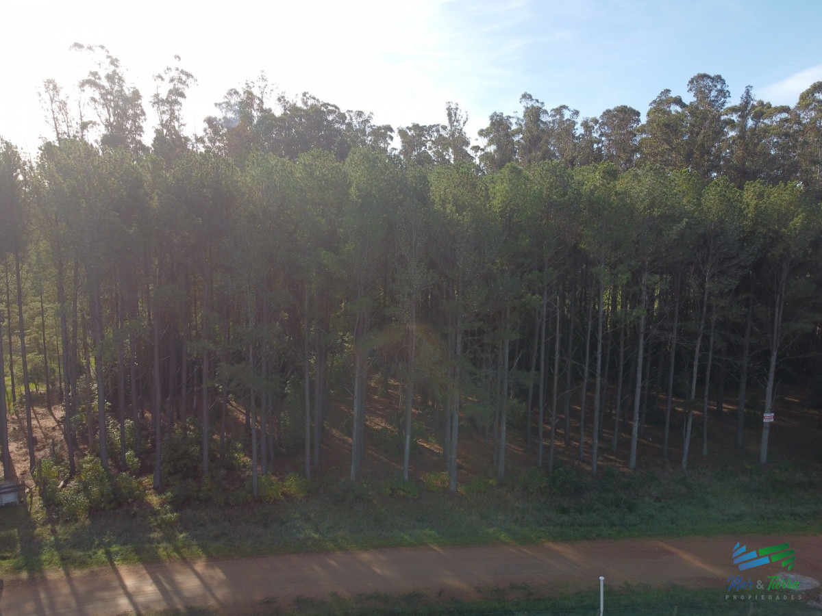 Terreno ID.4347 - Vendo terreno de 1 hectárea tipo chacra en Laguna del Diario, Punta del Este