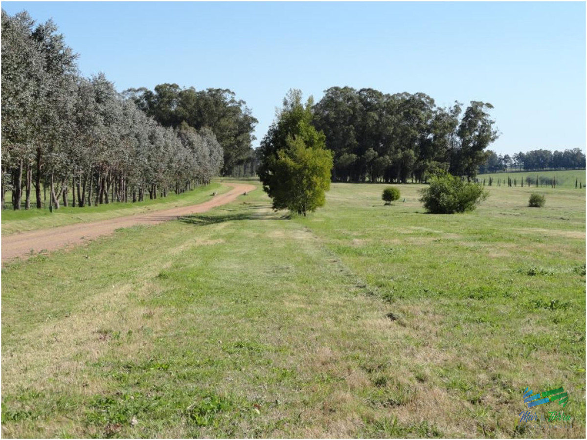 Terreno ID.1992 - Terreno en Punta del Este, Ruta Interbalnearia