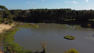 Venta de terreno en club del lago próximo a la Laguna del Sauce 