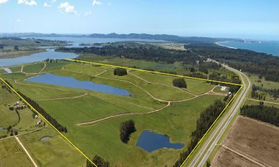 Venta de terreno con gran superficie en laguna de los cisnes sobre ruta interbalnearia