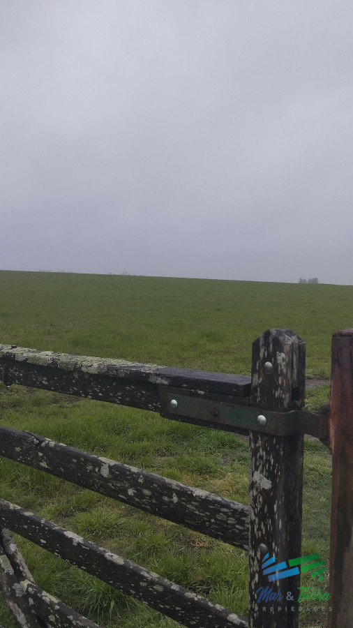 Campo Ref.4919 - Campo de casi 9 hectáreas en venta 