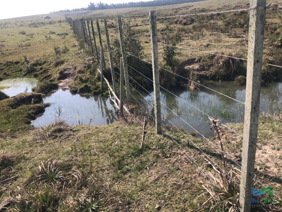 Campo Ref.5061 - Campo de 20 hectáreas en venta zona de Garzon