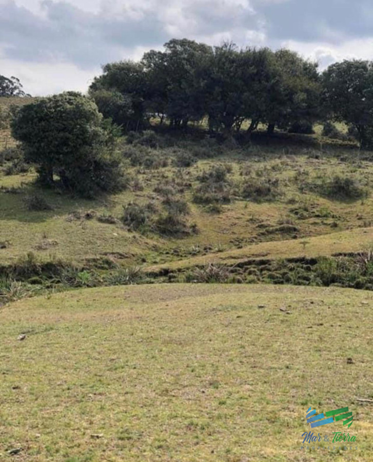 Campo Ref.5061 - Campo de 20 hectáreas en venta zona de Garzon