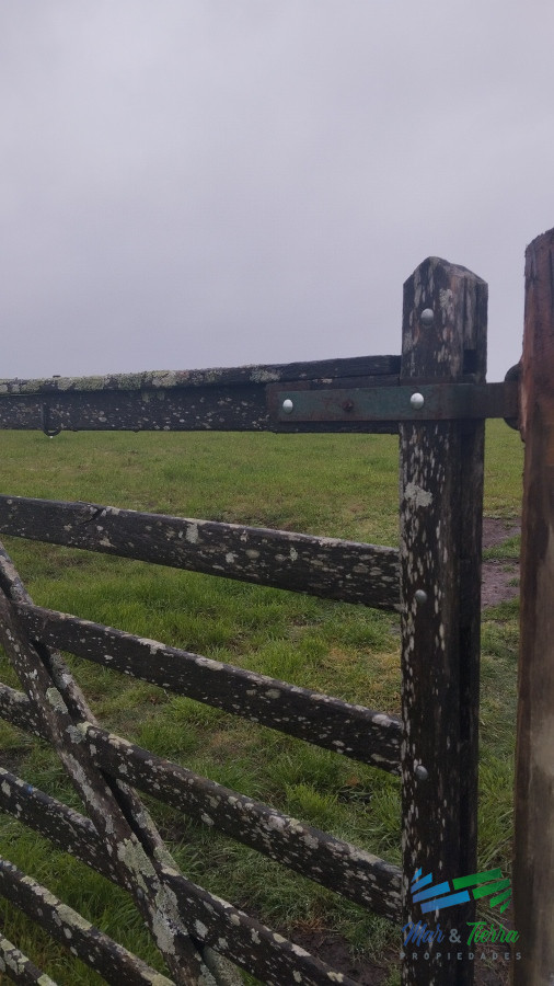 Campo Ref.4919 - Campo de casi 9 hectáreas en venta 