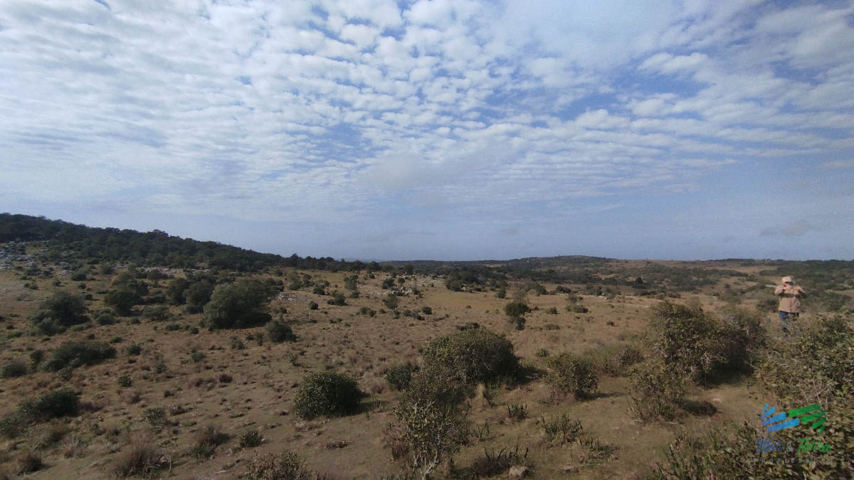 Campo Ref.5059 - Campo en venta, Maldonado, en la zona del Cerro Catedral
