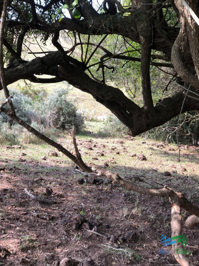 Campo Ref.5061 - Campo de 20 hectáreas en venta zona de Garzon