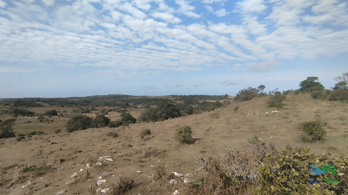 Campo Ref.5059 - Campo en venta, Maldonado, en la zona del Cerro Catedral
