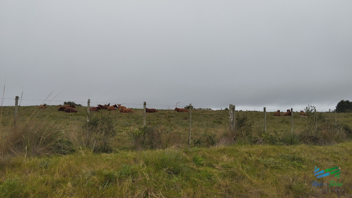 Campo Ref.5059 - Campo en venta, Maldonado, en la zona del Cerro Catedral