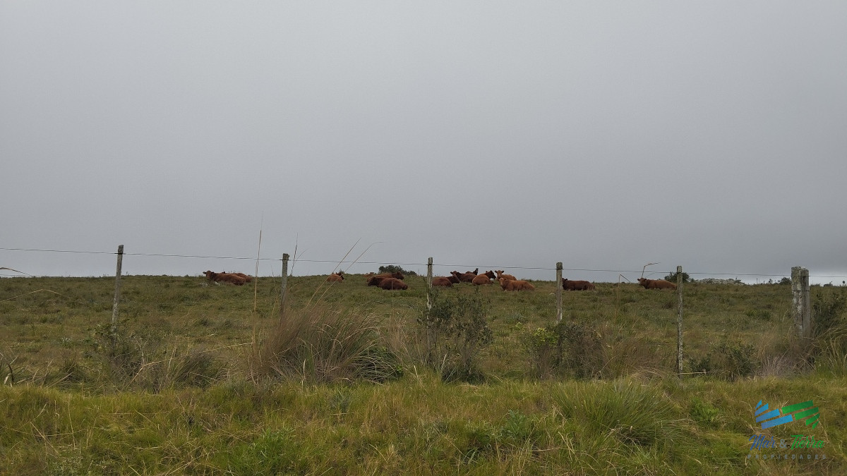 Campo Ref.5059 - Campo en venta, Maldonado, en la zona del Cerro Catedral