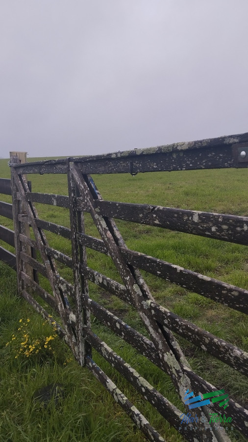 Campo Ref.4919 - Campo de casi 9 hectáreas en venta 