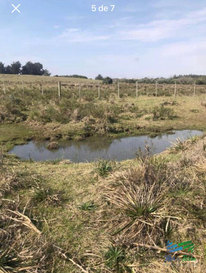 Campo Ref.5061 - Campo de 20 hectáreas en venta zona de Garzon