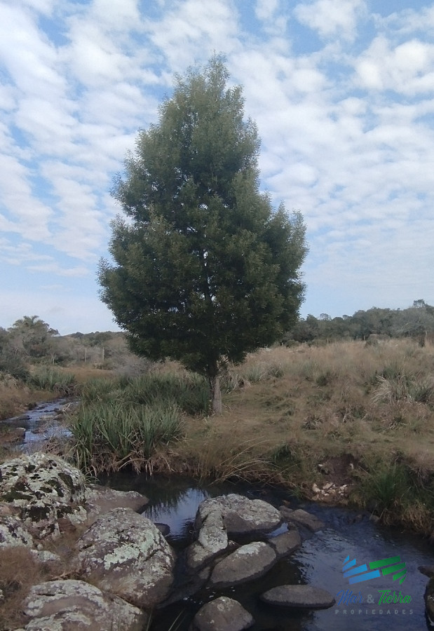 Campo Ref.5059 - Campo en venta, Maldonado, en la zona del Cerro Catedral