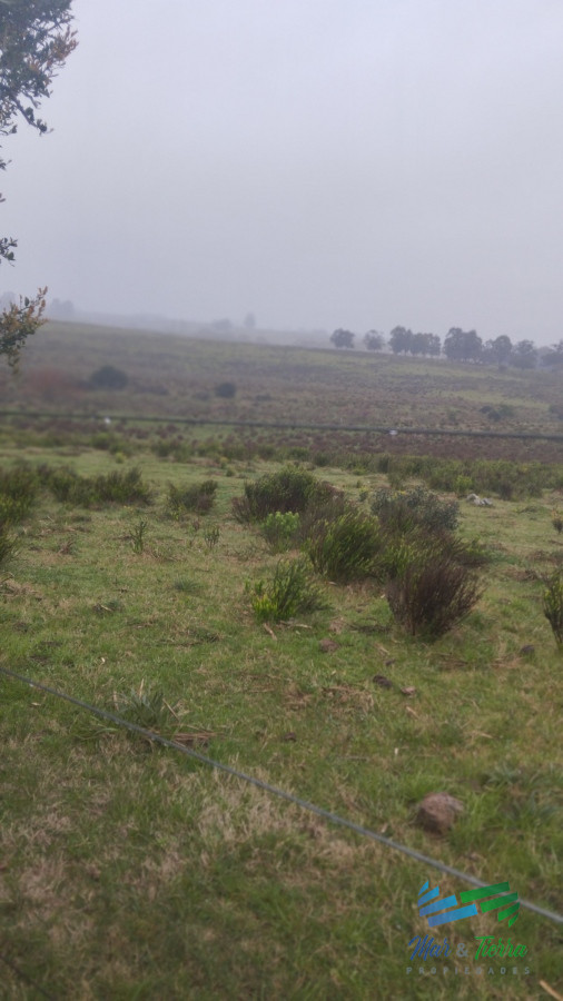 Campo Ref.4919 - Campo de casi 9 hectáreas en venta 