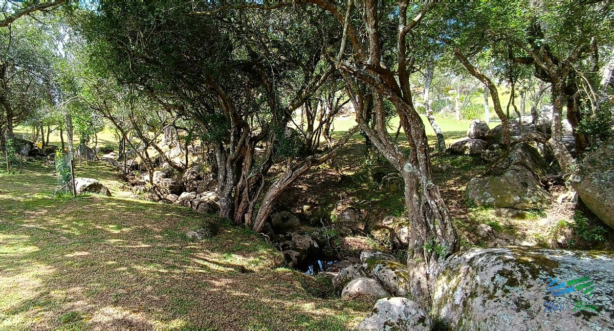 Campo Ref.4692 - Campo en venta, a los pies del Cerro Catedral, Aigua