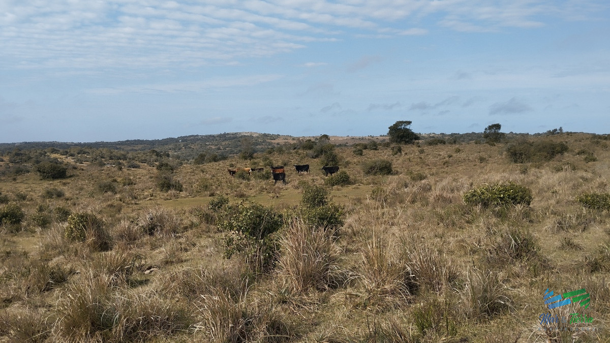 Campo Ref.5059 - Campo en venta, Maldonado, en la zona del Cerro Catedral