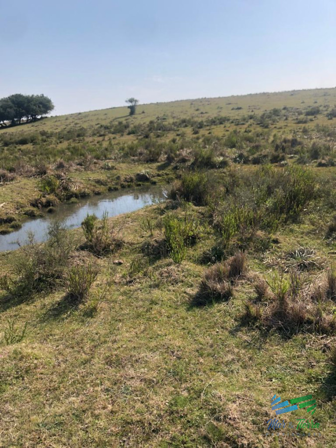 Campo Ref.5061 - Campo de 20 hectáreas en venta zona de Garzon