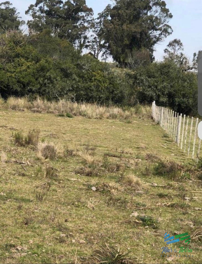 Campo Ref.5061 - Campo de 20 hectáreas en venta zona de Garzon