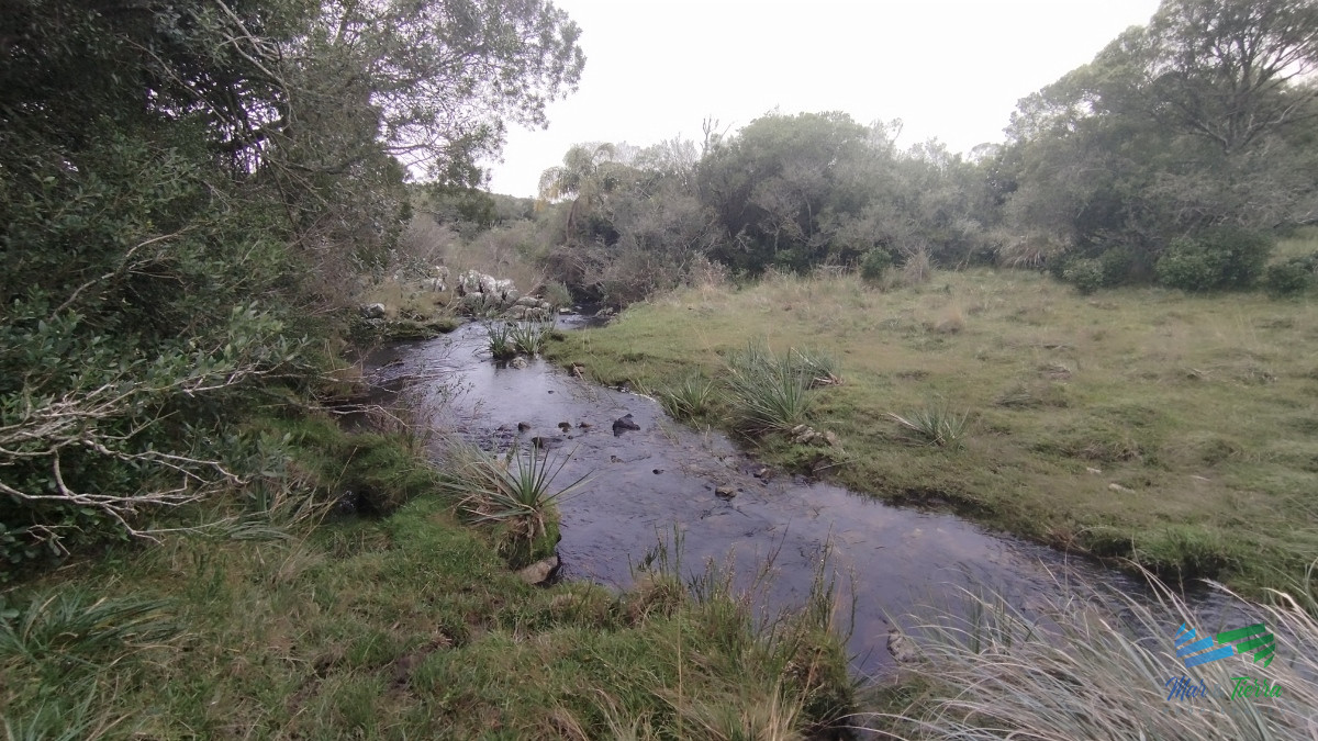 Campo en venta, Maldonado, en la zona del Cerro Catedral - GoPunta - Portal Inmobiliario de Punta del Este - Maldonado