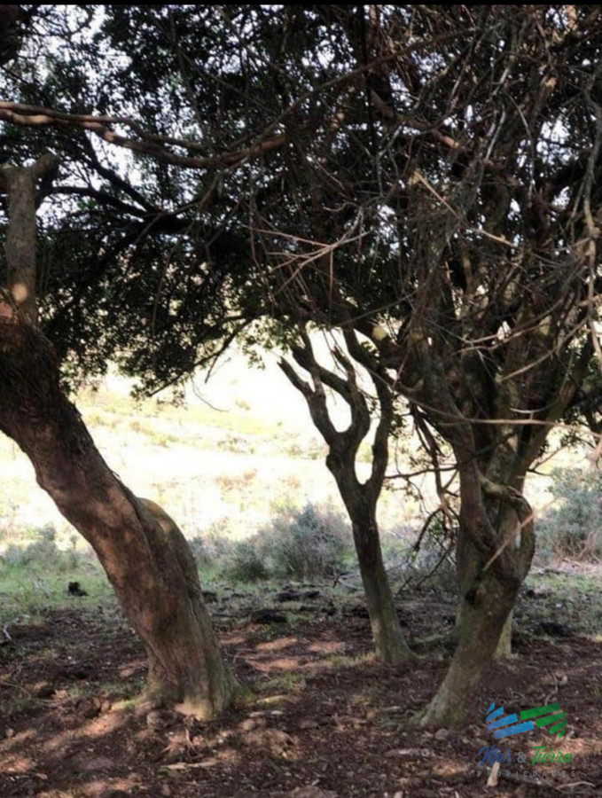 Campo Ref.5061 - Campo de 20 hectáreas en venta zona de Garzon