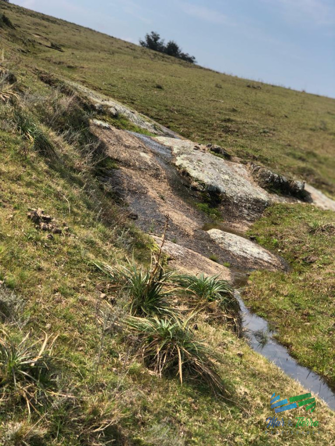 Campo Ref.5061 - Campo de 20 hectáreas en venta zona de Garzon