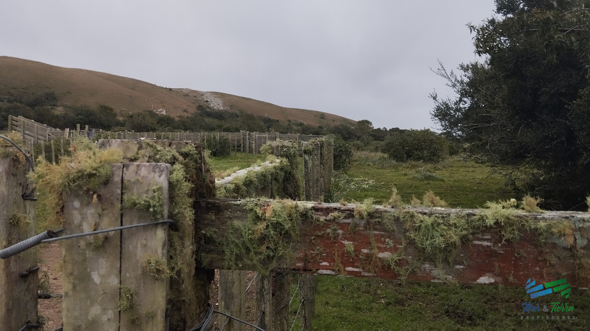 Campo Ref.5059 - Campo en venta, Maldonado, en la zona del Cerro Catedral