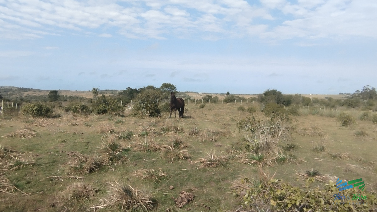 Campo Ref.5059 - Campo en venta, Maldonado, en la zona del Cerro Catedral