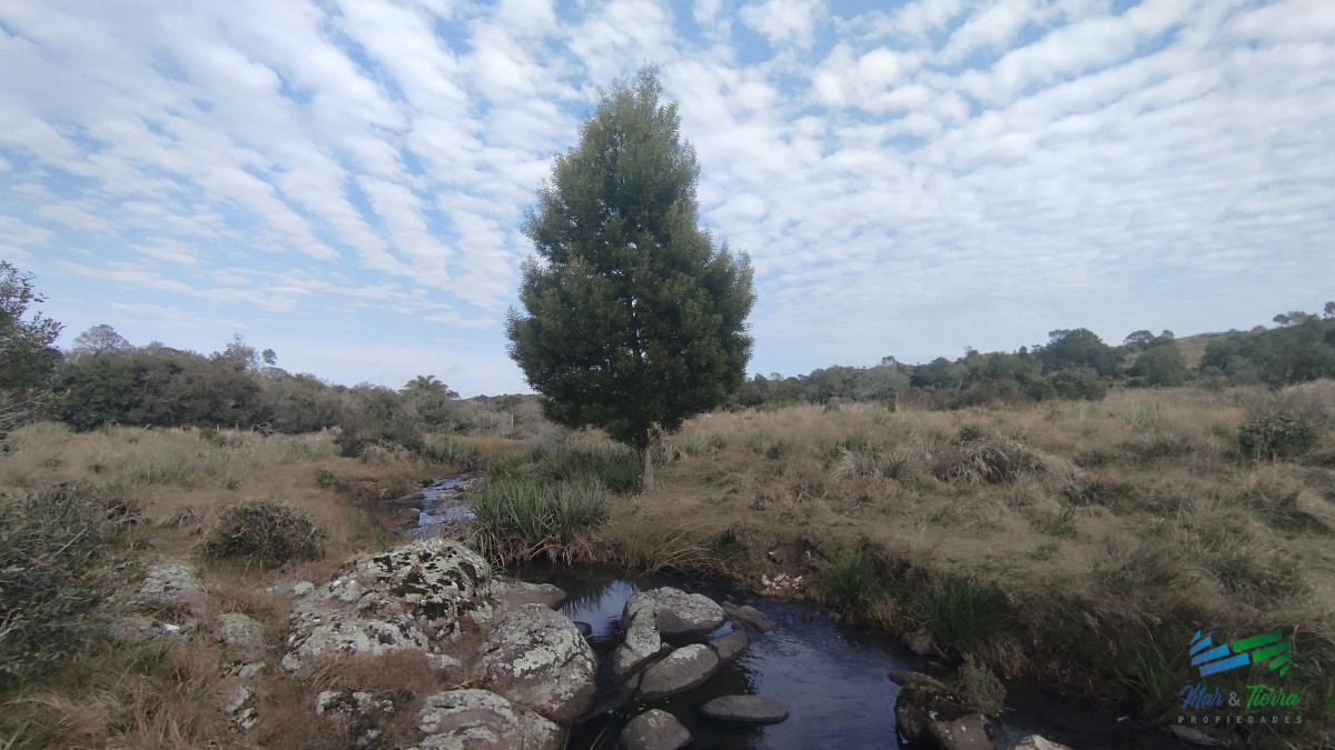 Campo Ref.5059 - Campo en venta, Maldonado, en la zona del Cerro Catedral