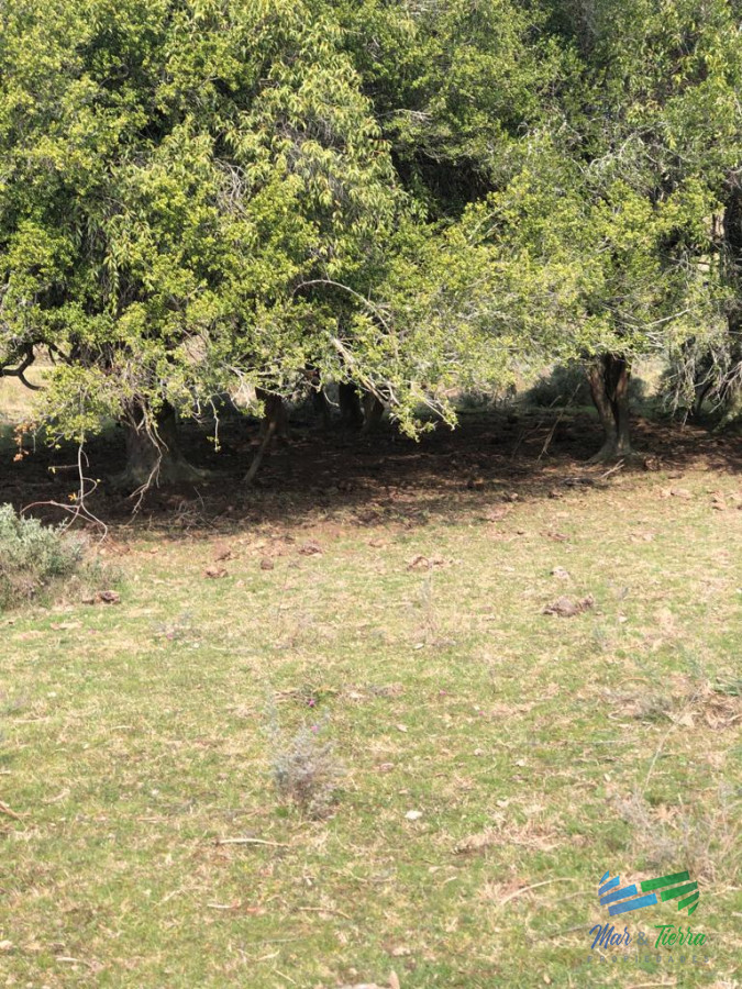 Campo Ref.5061 - Campo de 20 hectáreas en venta zona de Garzon
