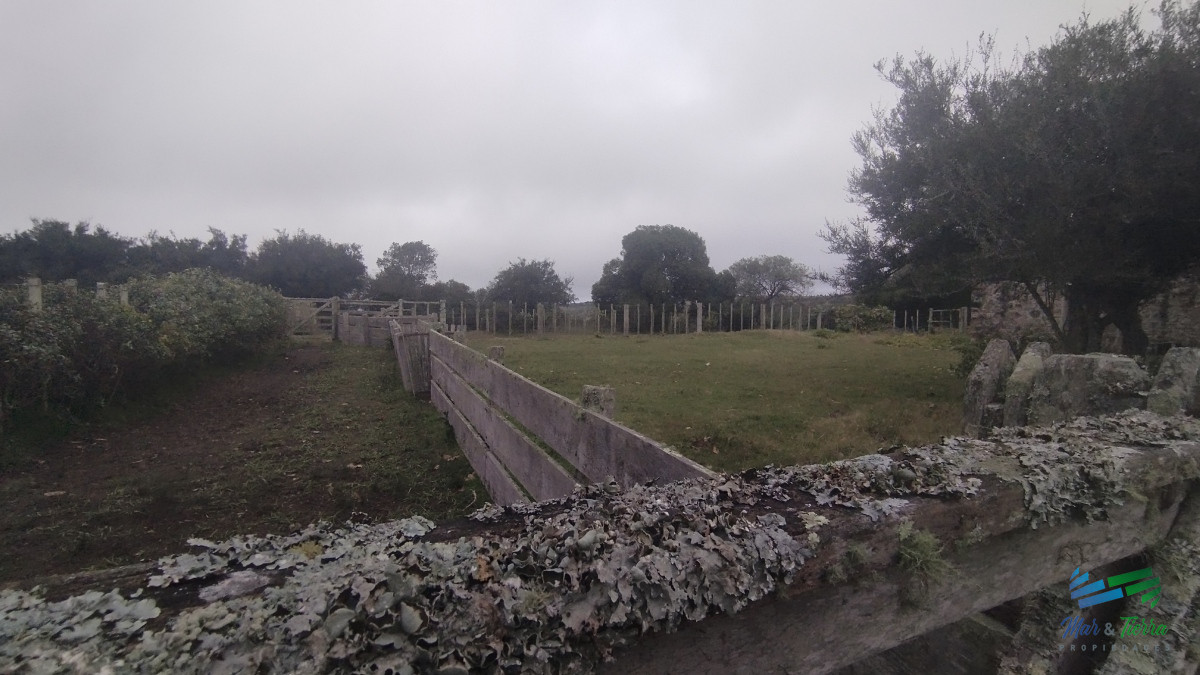 Campo Ref.5059 - Campo en venta, Maldonado, en la zona del Cerro Catedral