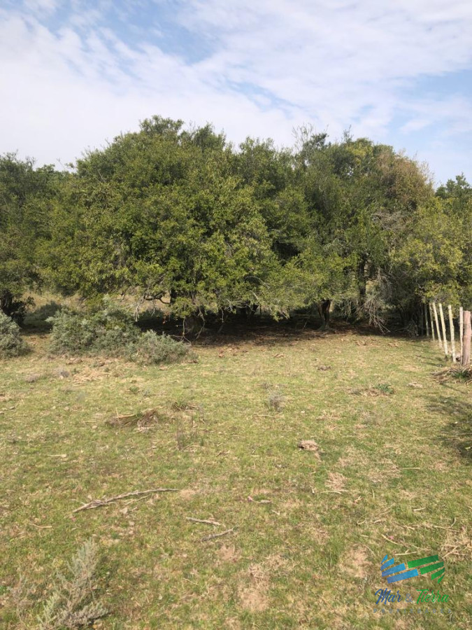 Campo Ref.5061 - Campo de 20 hectáreas en venta zona de Garzon