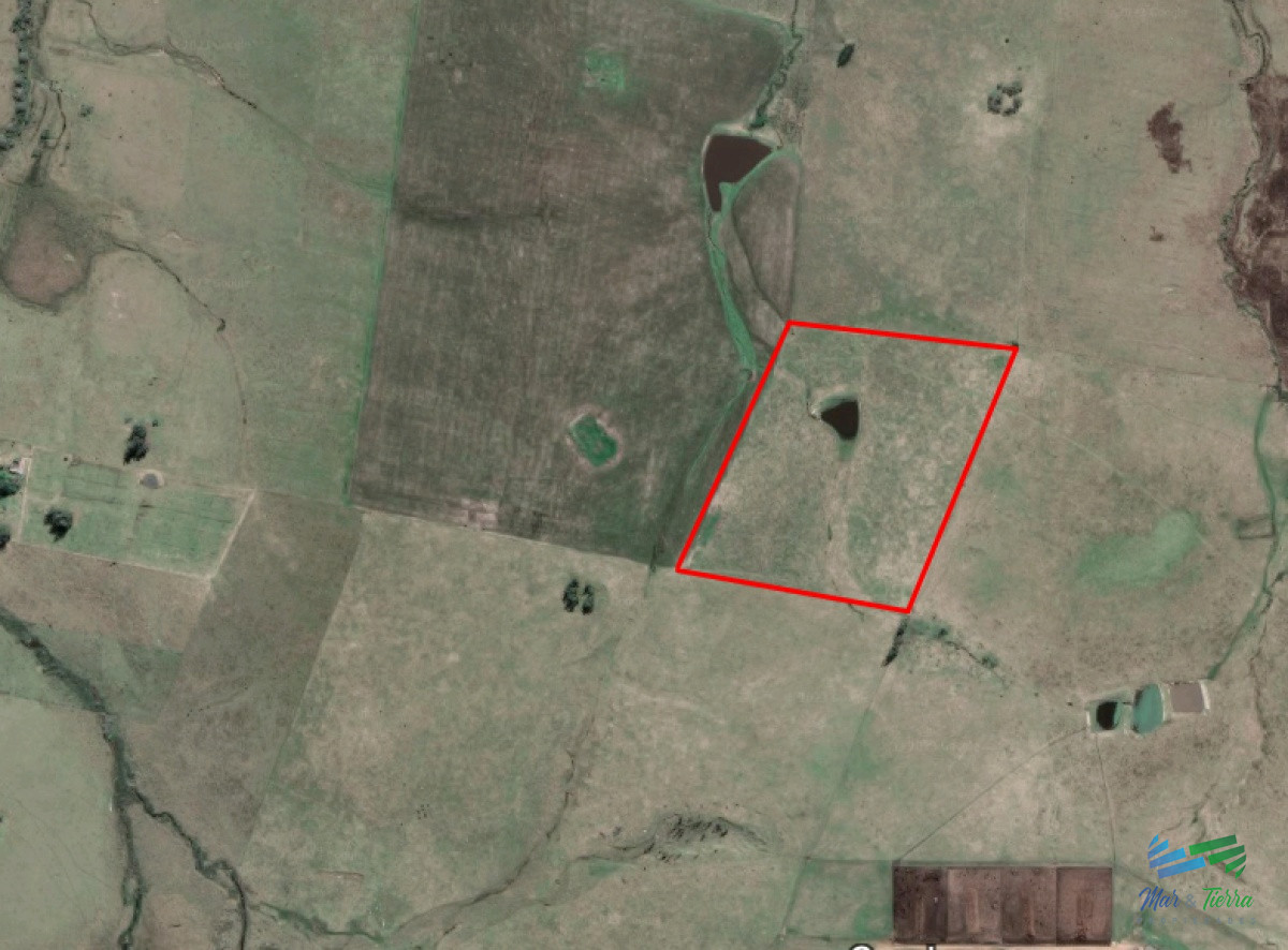Campo Ref.4919 - Campo de casi 9 hectáreas en venta 