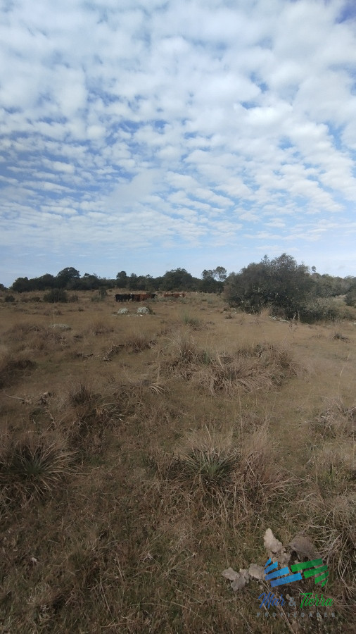 Campo Ref.5059 - Campo en venta, Maldonado, en la zona del Cerro Catedral