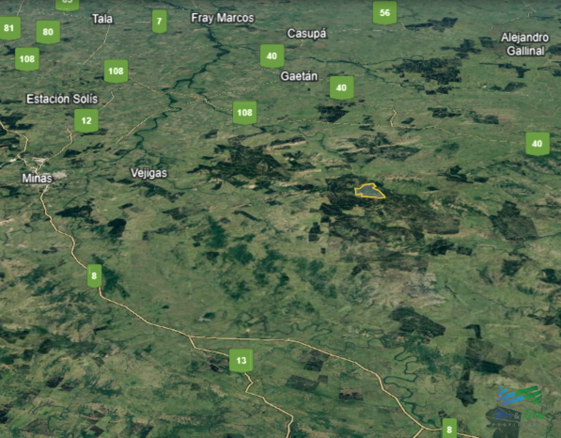 Campo Ref.4917 - Se vende campo forestado en Lavalleja 