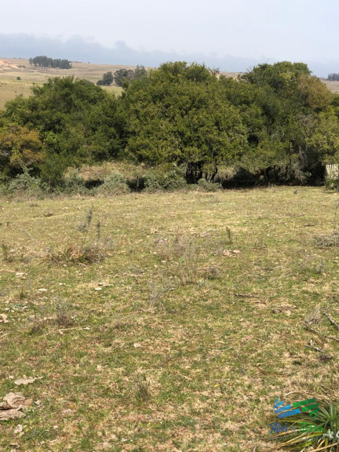 Campo Ref.5061 - Campo de 20 hectáreas en venta zona de Garzon