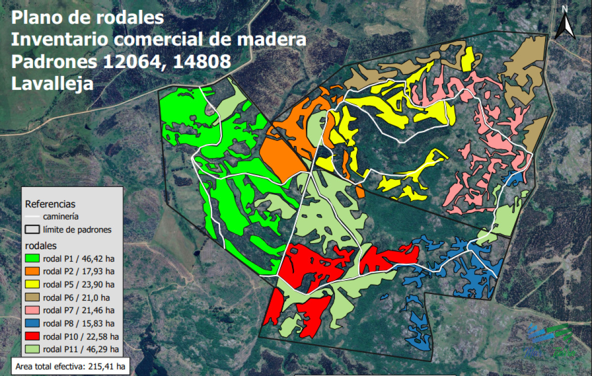 Se vende campo forestado en Lavalleja - GoPunta - Portal Inmobiliario de Punta del Este - Maldonado