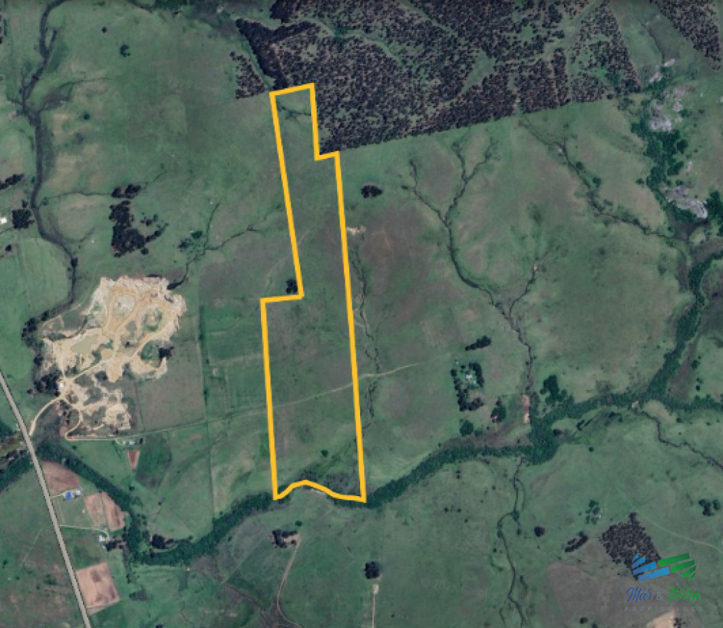Campo Ref.5061 - Campo de 20 hectáreas en venta zona de Garzon