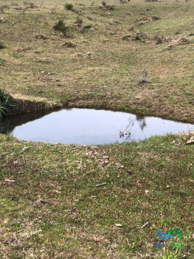 Campo Ref.5061 - Campo de 20 hectáreas en venta zona de Garzon