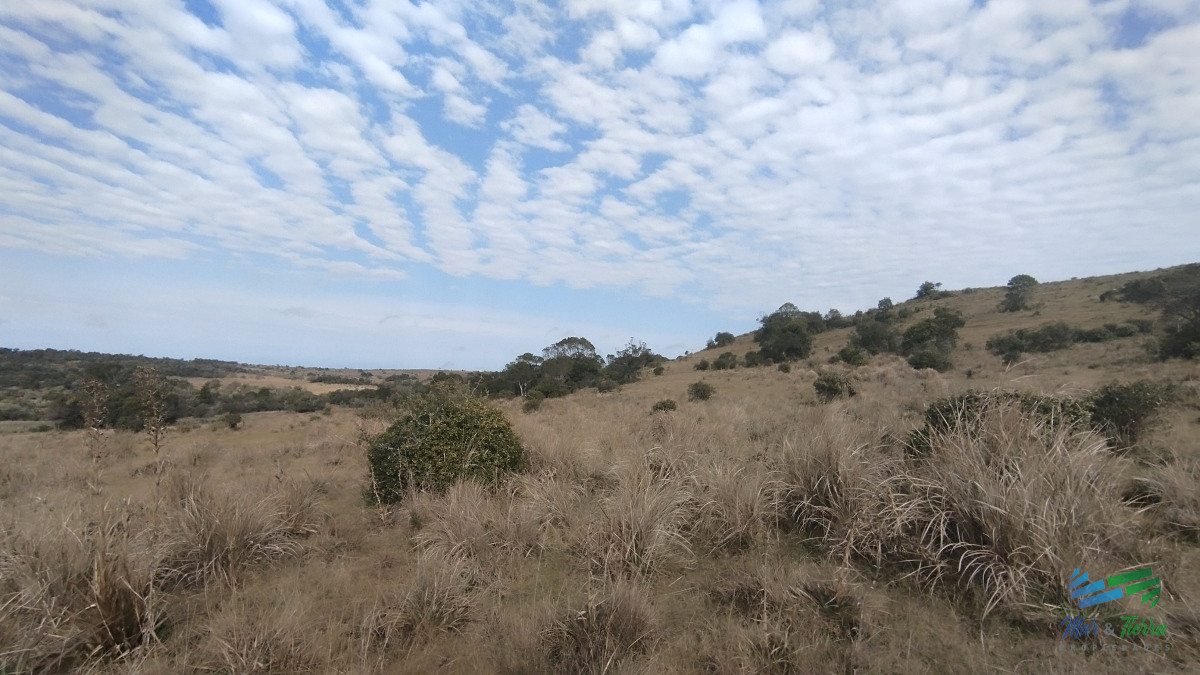 Campo Ref.5059 - Campo en venta, Maldonado, en la zona del Cerro Catedral