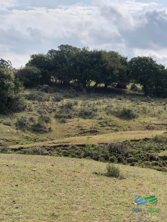 Campo Ref.5061 - Campo de 20 hectáreas en venta zona de Garzon