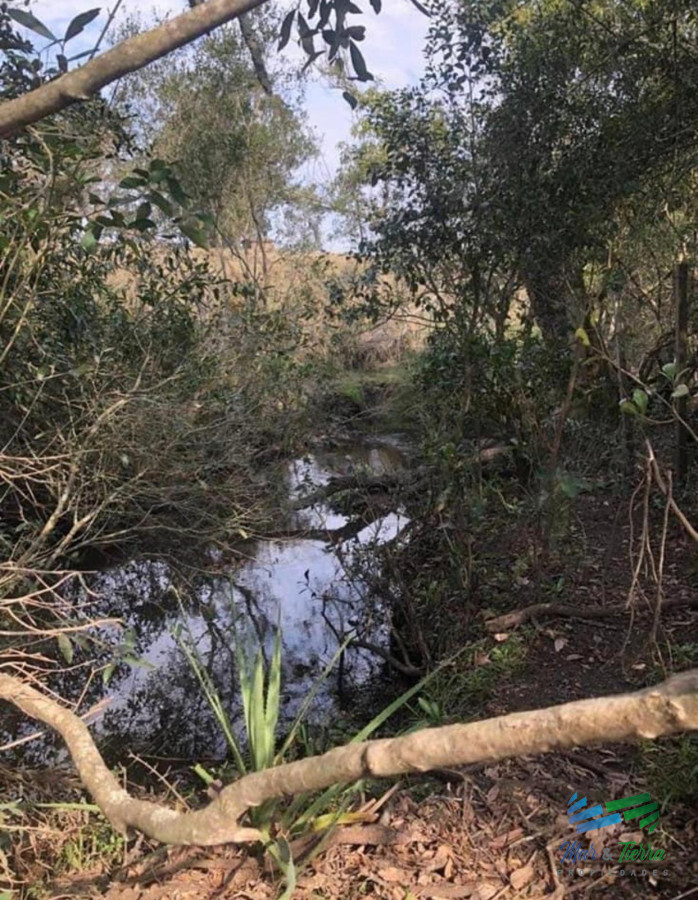 Campo Ref.5061 - Campo de 20 hectáreas en venta zona de Garzon