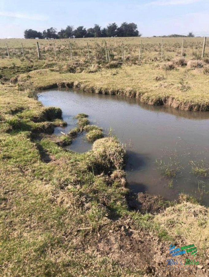 Campo Ref.5061 - Campo de 20 hectáreas en venta zona de Garzon