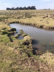 Campo de 20 hectáreas en venta zona de Garzon