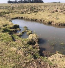 Campo de 20 hectáreas en venta zona de Garzon