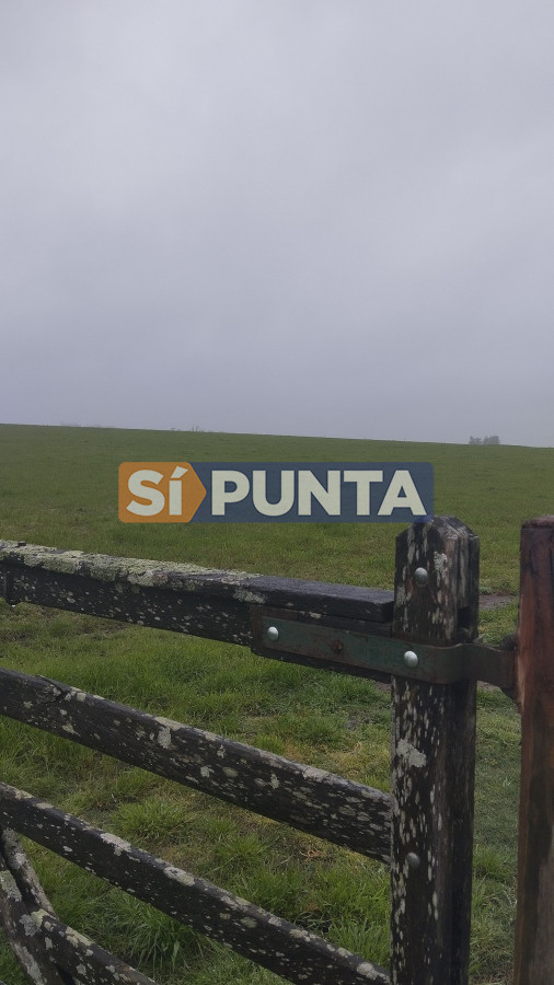 Campo Ref.11284 - Campo de casi 9 hectáreas en venta 