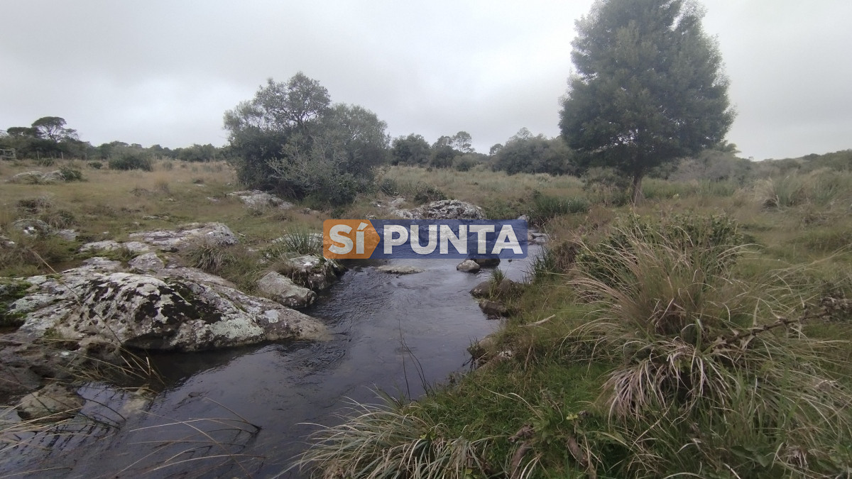 Campo Ref.12110 - Campo en venta, Maldonado, en la zona del Cerro Catedral