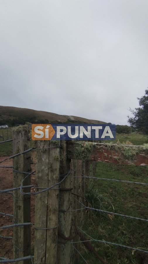 Campo Ref.12110 - Campo en venta, Maldonado, en la zona del Cerro Catedral