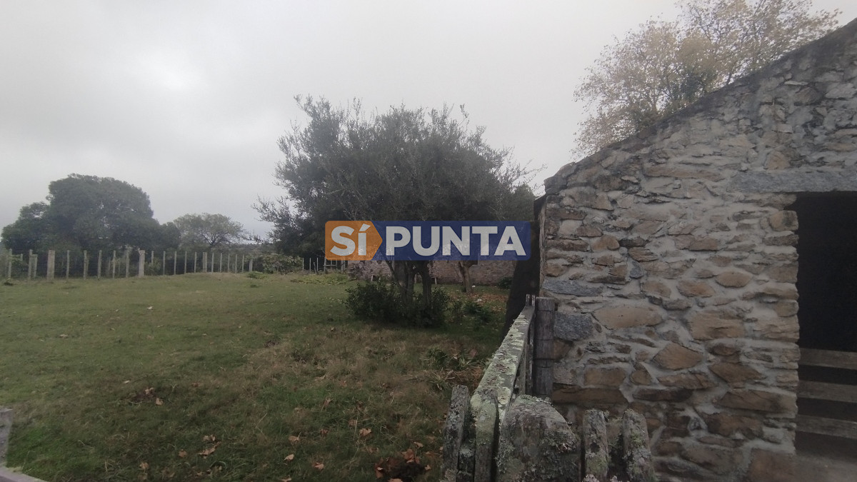 Campo Ref.12110 - Campo en venta, Maldonado, en la zona del Cerro Catedral